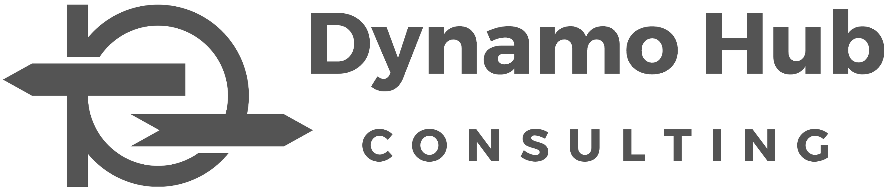 Dynamo Hub Consulting